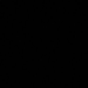 Meet your Posher, Jaden